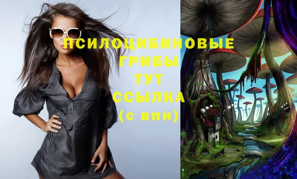 бошки Гусиноозёрск