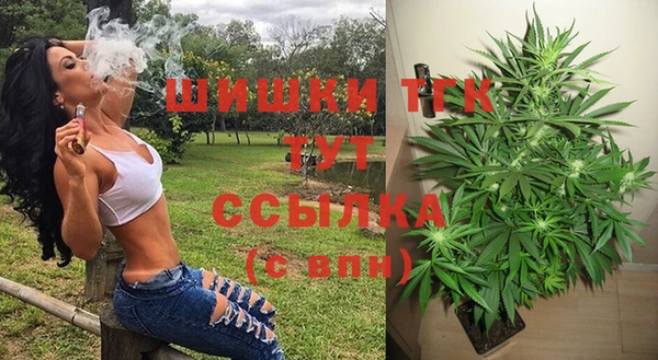 бошки Гусиноозёрск