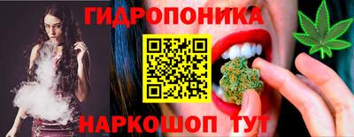 шишки Гусиноозёрск