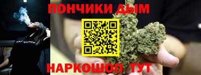 шишки Гусиноозёрск