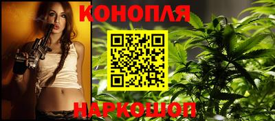 шишки Гусиноозёрск