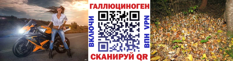 Галлюциногенные грибы Cubensis Минеральные Воды