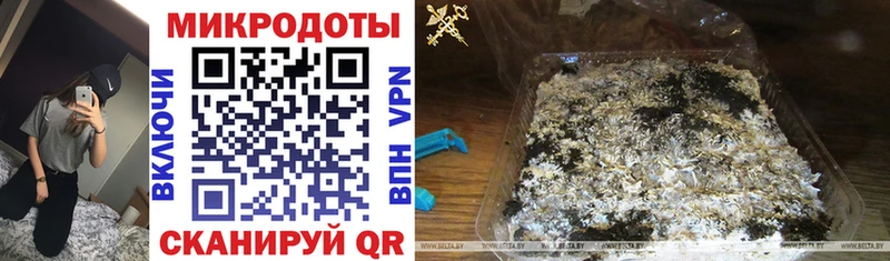 Псилоцибиновые грибы мухоморы Минеральные Воды