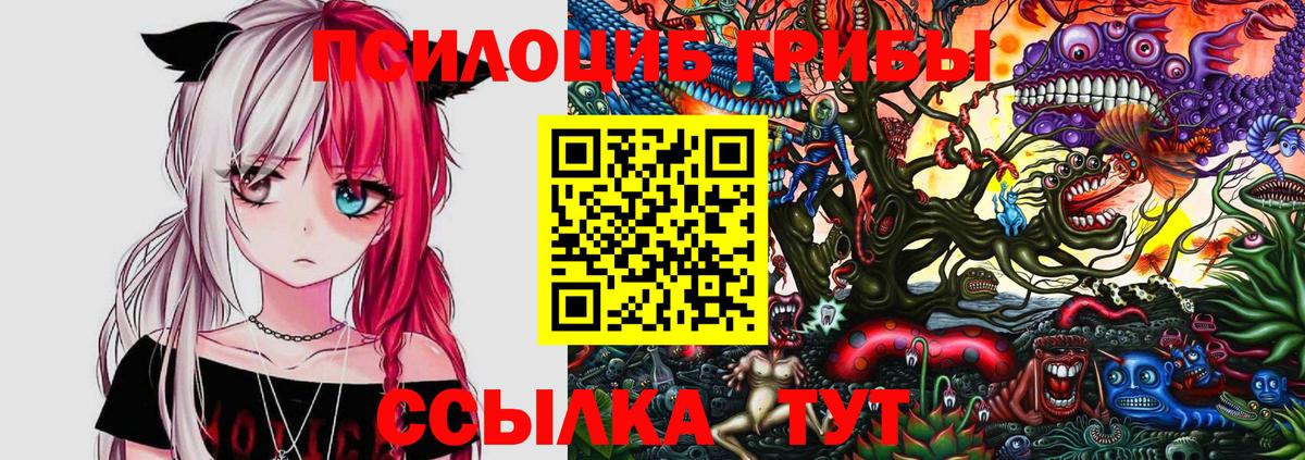 Псилоцибиновые грибы MAGIC MUSHROOMS Минеральные Воды