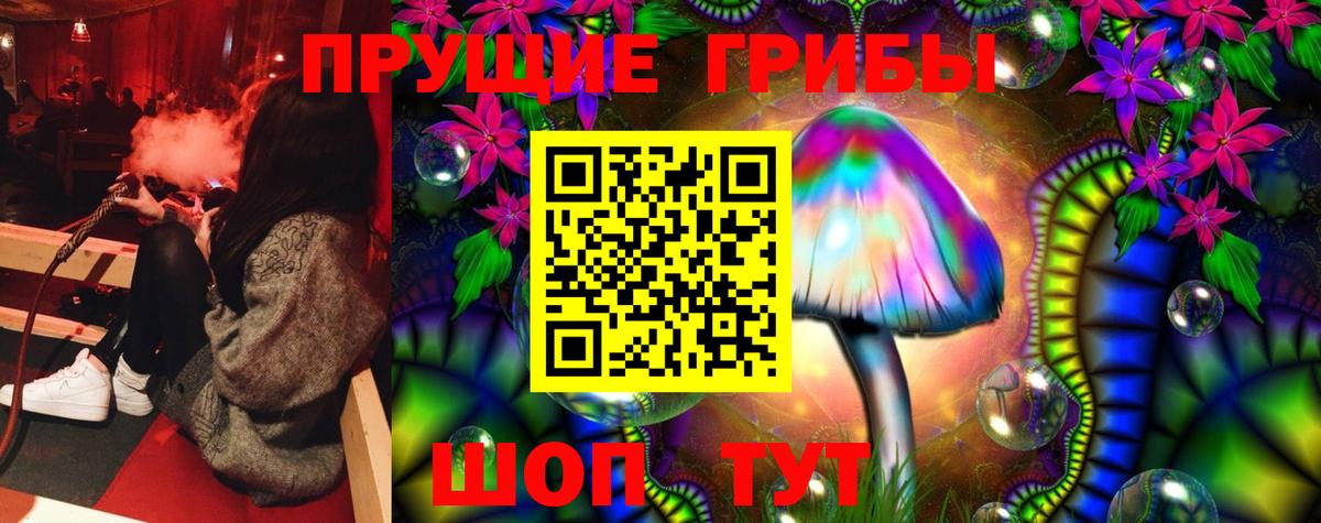 Псилоцибиновые грибы Psilocybine cubensis  Минеральные Воды 