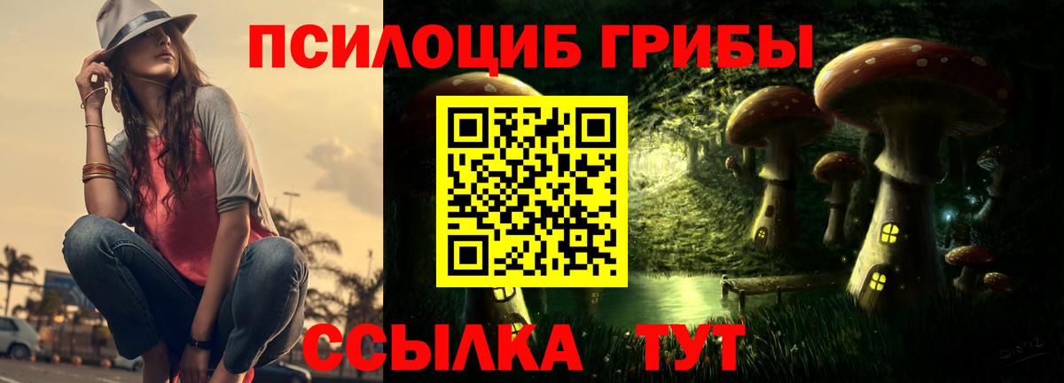 Галлюциногенные грибы прущие грибы  Псилоцибиновые грибы мицелий  Минеральные Воды  Вход с VPN 
